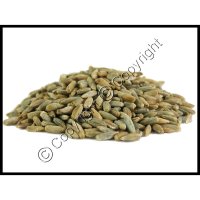 Organic Rye Berries (image for) Organic Rye Berries